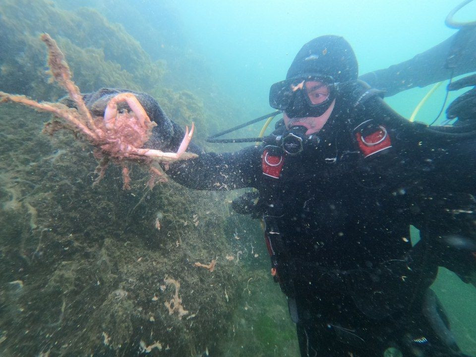Bursa'da Dalgıçlar Müsilajın Denizdeki Durumunu Görüntüledi - Sayfa 13
