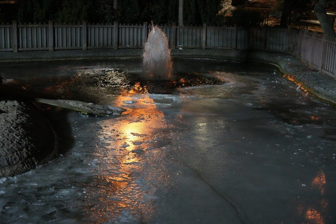Ankara'da Hava Sıcaklığı Eksi 10 Dereceye Düştü: Kuğulu Park'ın Havuzu Dondu! - Sayfa 5
