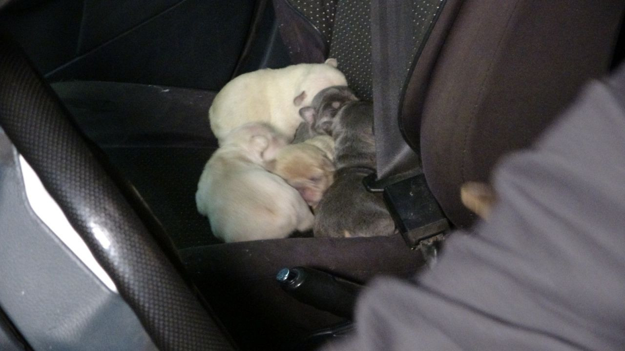 Sanayi Sitesinde Korkutan Yangın Ekiplerin 3 Saatlik Müdahalesi İle Söndürüldü! - Sayfa 3