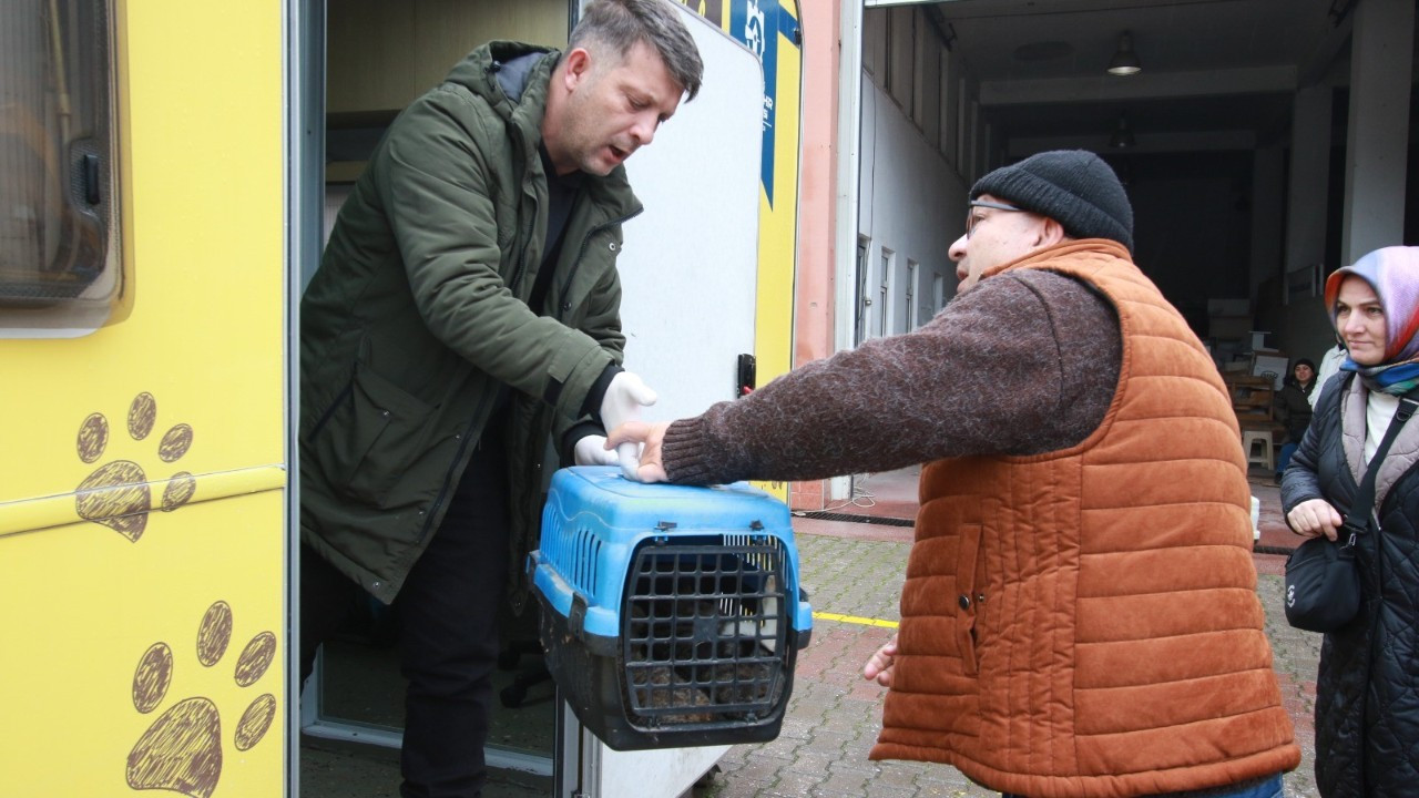 Kocaeli'de Sokak Kedilerine Şefkat Eli