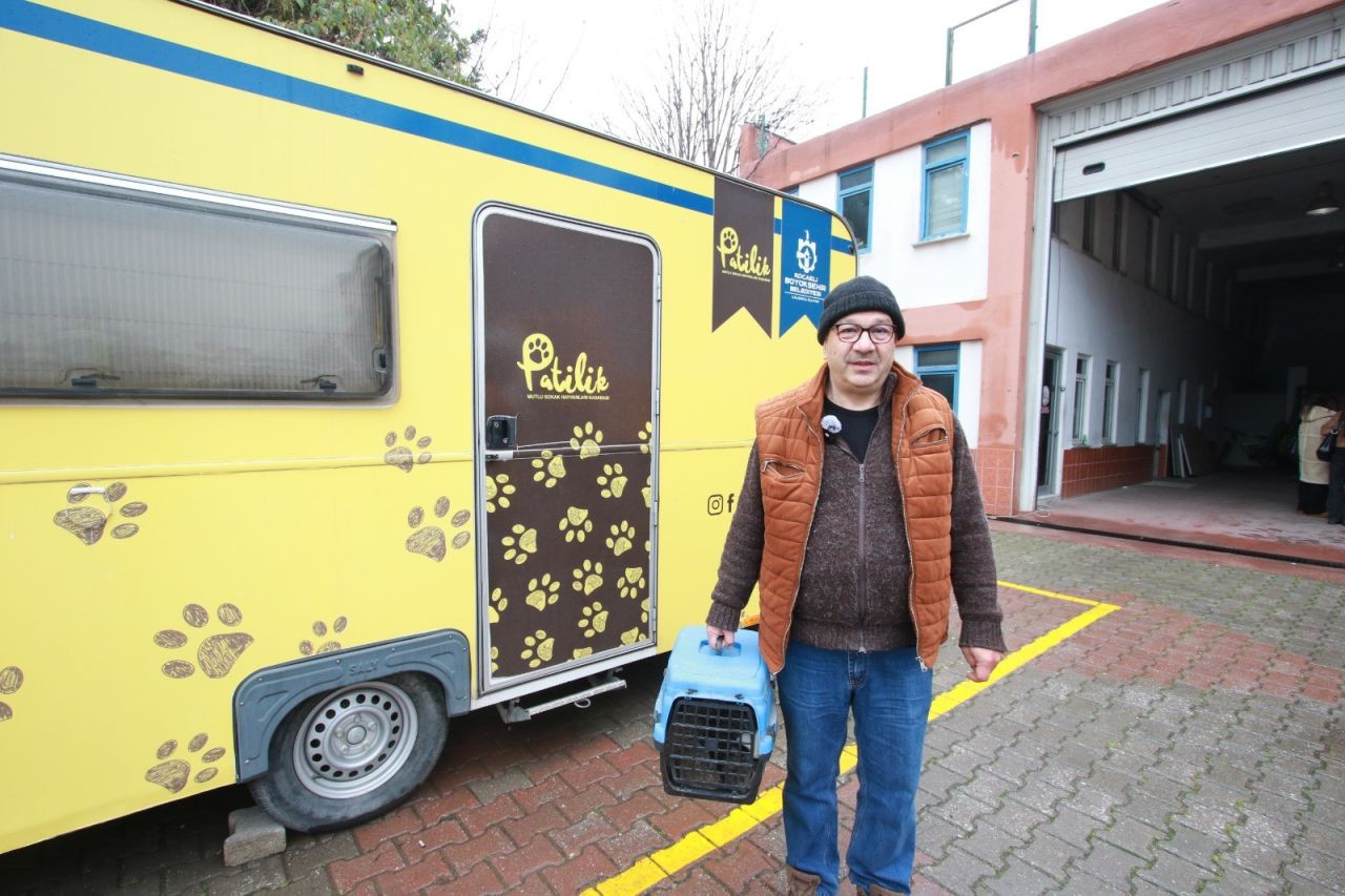 Kocaeli'de Sokak Kedilerine Şefkat Eli - Sayfa 2