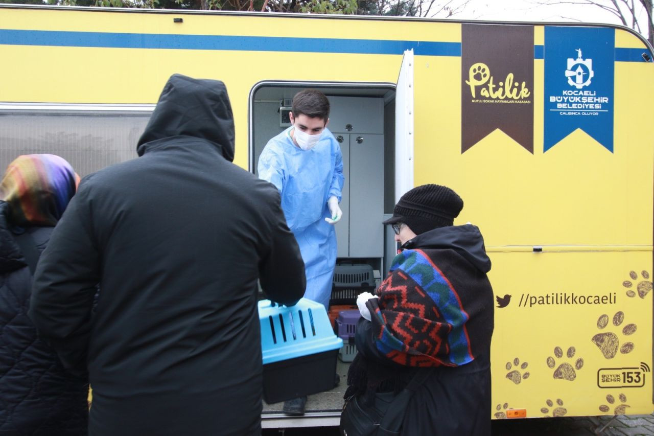 Kocaeli'de Sokak Kedilerine Şefkat Eli - Sayfa 3