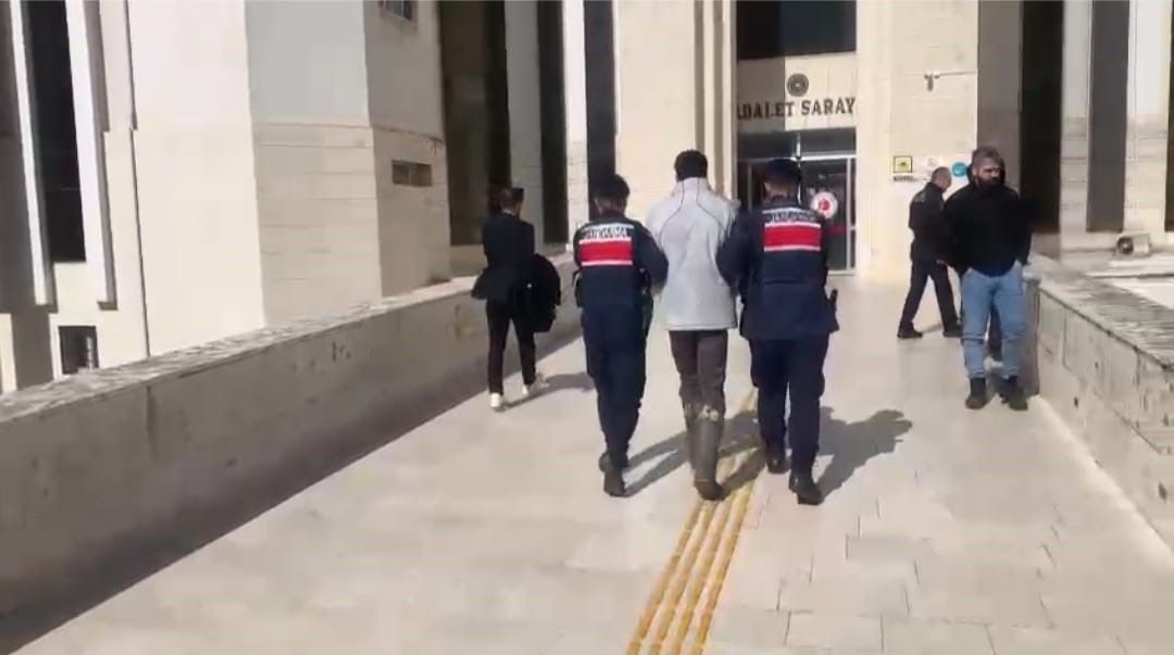 Balıkesir’de Hayvan Sayasındaki Hırsızlık Olayı Aydınlatıldı - Sayfa 1