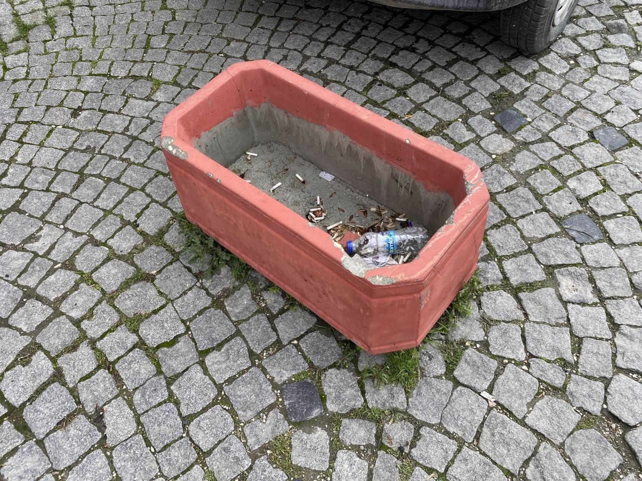 Tarihi Odunpazarı’nda Duyarsızlık: Saksılar Çöp Kutusuna Döndü - Sayfa 1