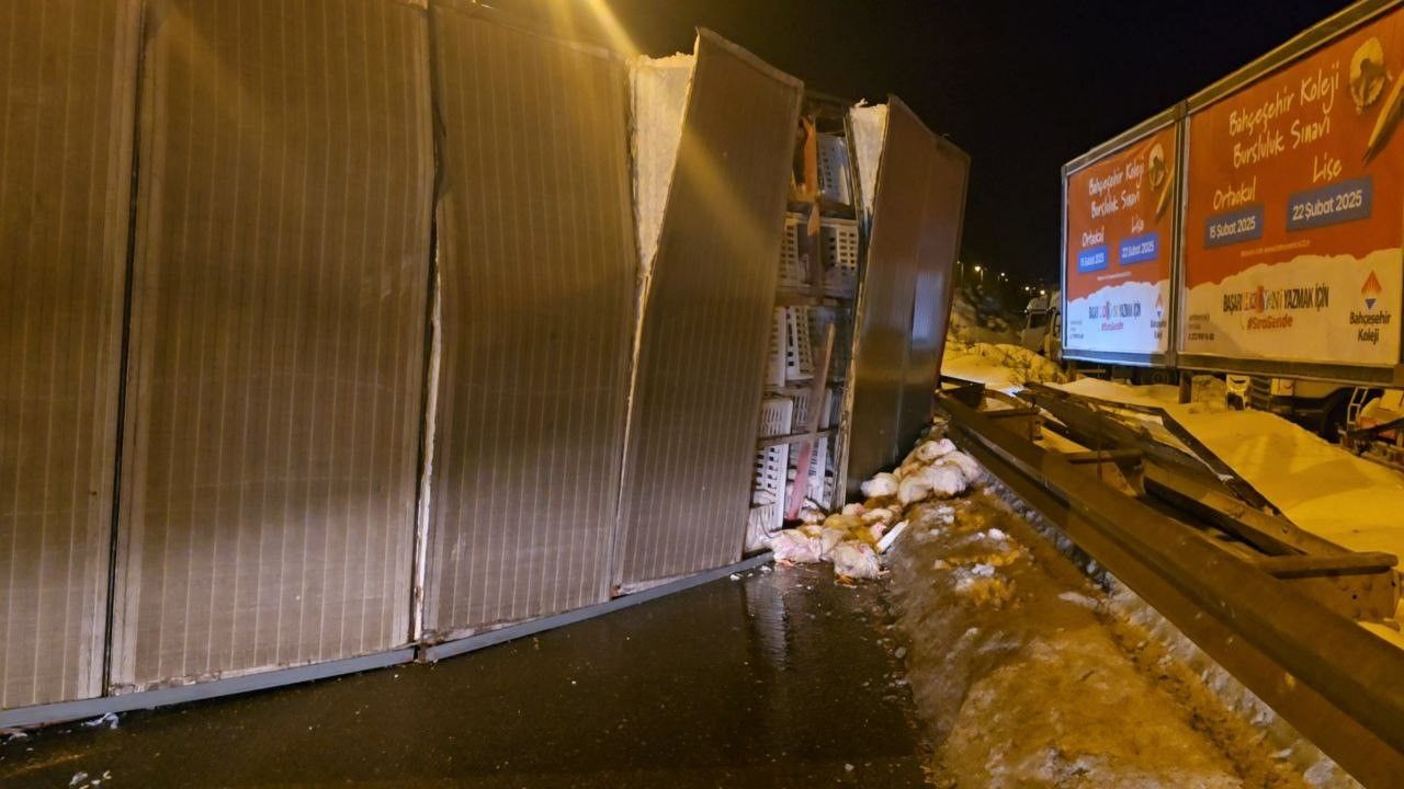 Zonguldak’ta Tavuk Yüklü Kamyon Devrildi: Onlarca Tavuk Telef Oldu - Sayfa 3