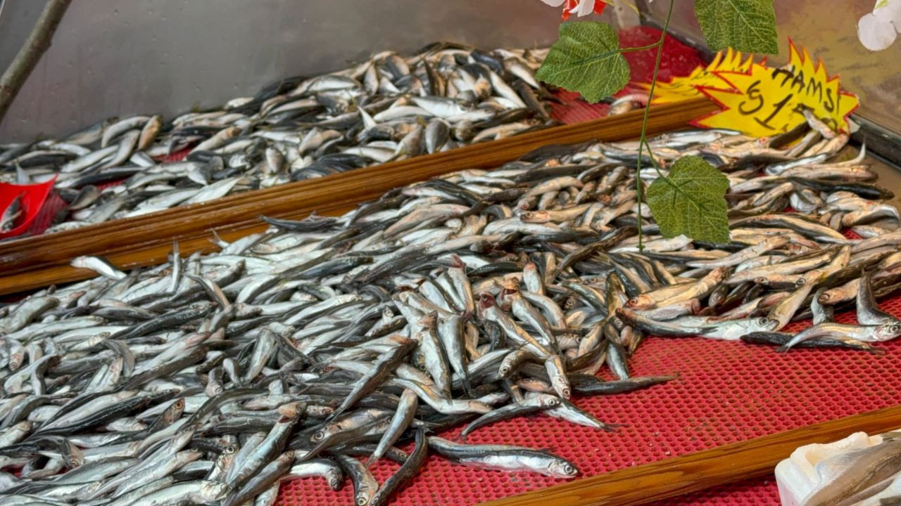 Hamsinin Kulağına Kar Suyu Kaçtı, Balık Lezzetlendi - Sayfa 3