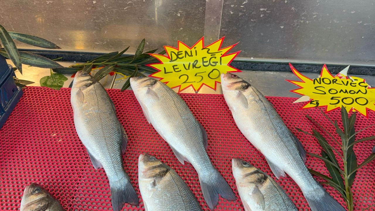 Hamsinin Kulağına Kar Suyu Kaçtı, Balık Lezzetlendi - Sayfa 5