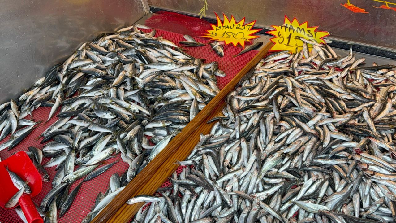 Hamsinin Kulağına Kar Suyu Kaçtı, Balık Lezzetlendi - Sayfa 6