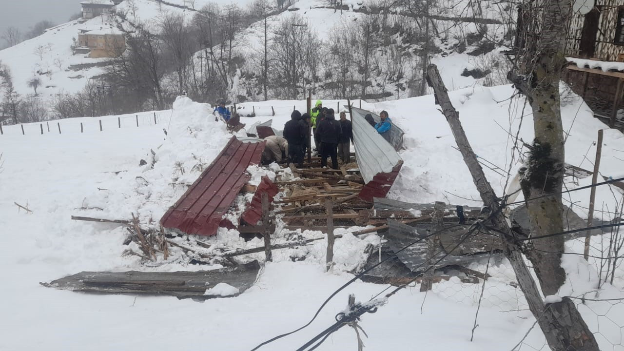 Trabzon’da Kar Felaketi: Ahırın Çatısı Çöktü, Hayvanlar Telef Oldu