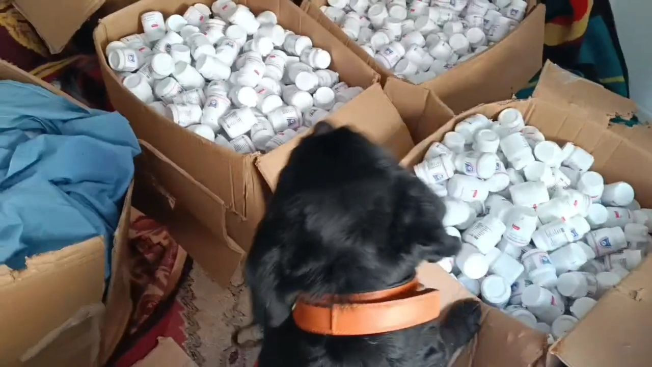 Samsun'da Dev Uyuşturucu Operasyonu: İkiz Kardeşler Yakalandı - Sayfa 3