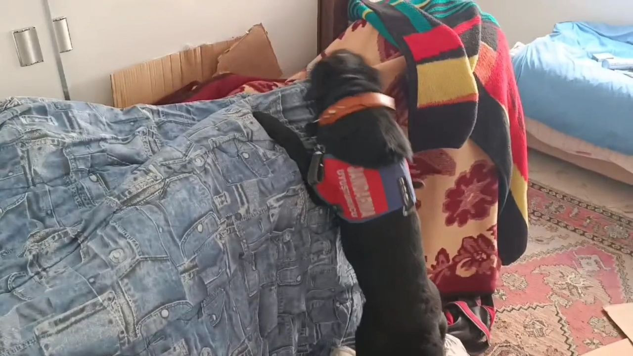 Samsun'da Dev Uyuşturucu Operasyonu: İkiz Kardeşler Yakalandı - Sayfa 7