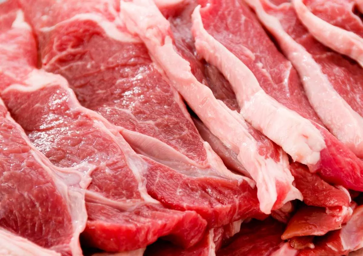 Kırsalda Bereket Projesinde Son Günler: Kırmızı Et Arzı İçin Büyük Destek! - Sayfa 9