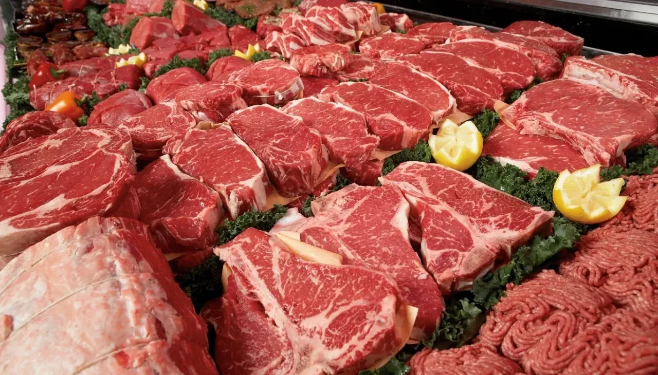 Kırsalda Bereket Projesinde Son Günler: Kırmızı Et Arzı İçin Büyük Destek! - Sayfa 10