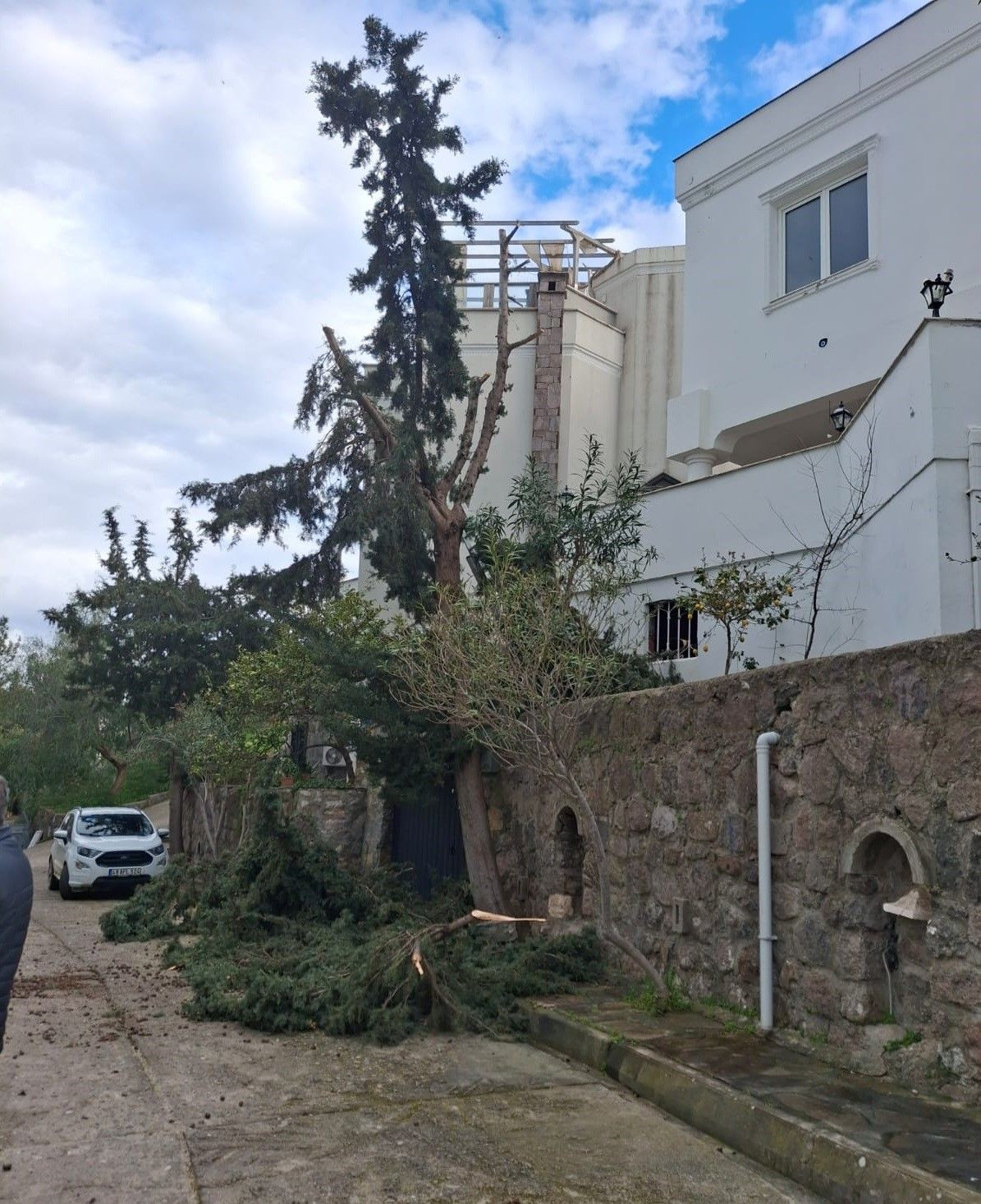 Bodrum’da Ağaç Budarken Düşen Adam Hayatını Kaybetti - Sayfa 1