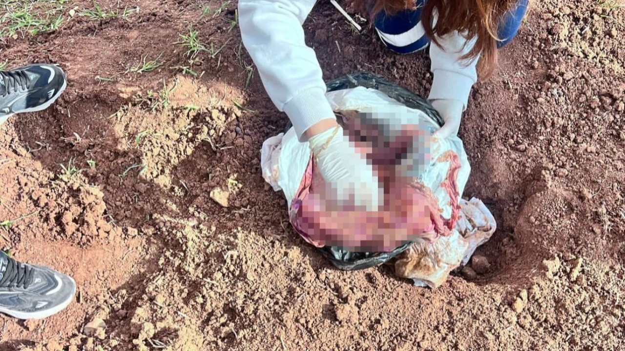 Şırnak’ta Yeni Doğan Bebeğin Öldürülmesine 2 Tutuklama