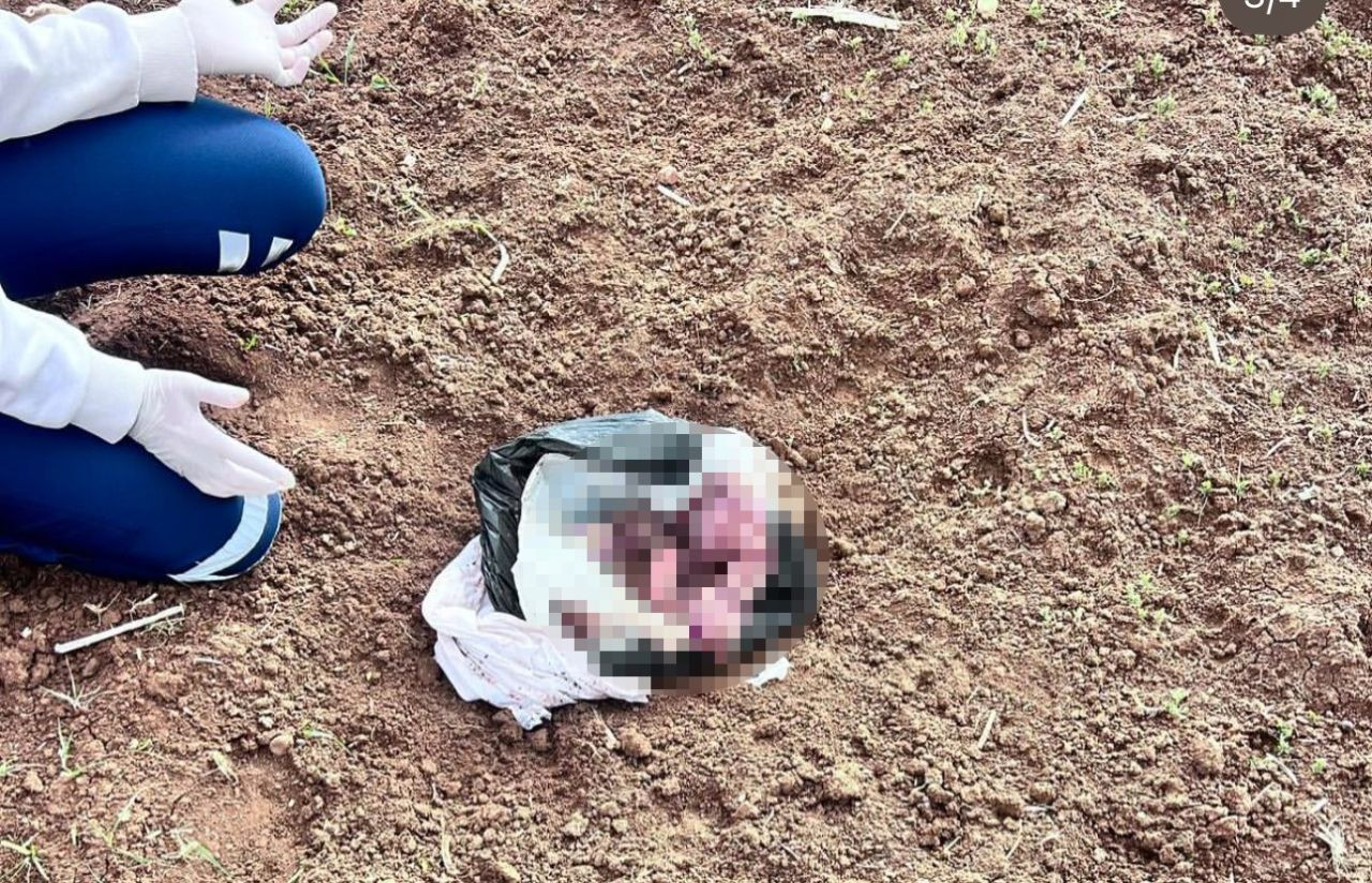 Şırnak’ta Yeni Doğan Bebeğin Öldürülmesine 2 Tutuklama - Sayfa 1