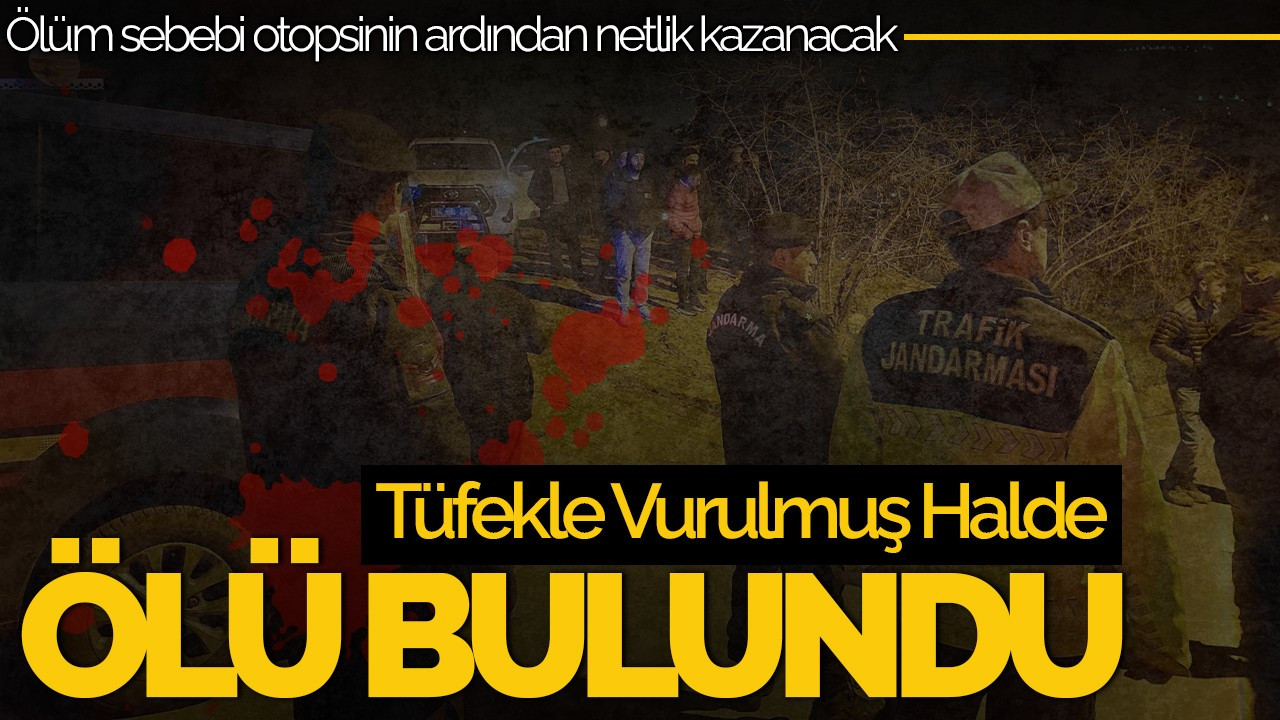 Ahırda Tüfekle Vurulmuş Halde Ölü Bulundu