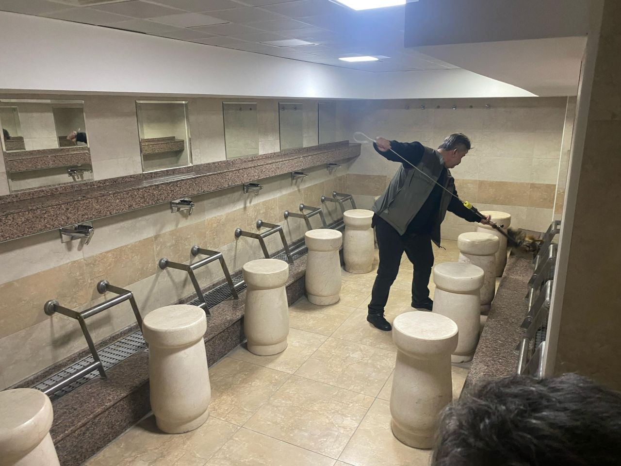 Ankara'da Aç Kalan Tilki Kocatepe Camii’ne Sığındı - Sayfa 3