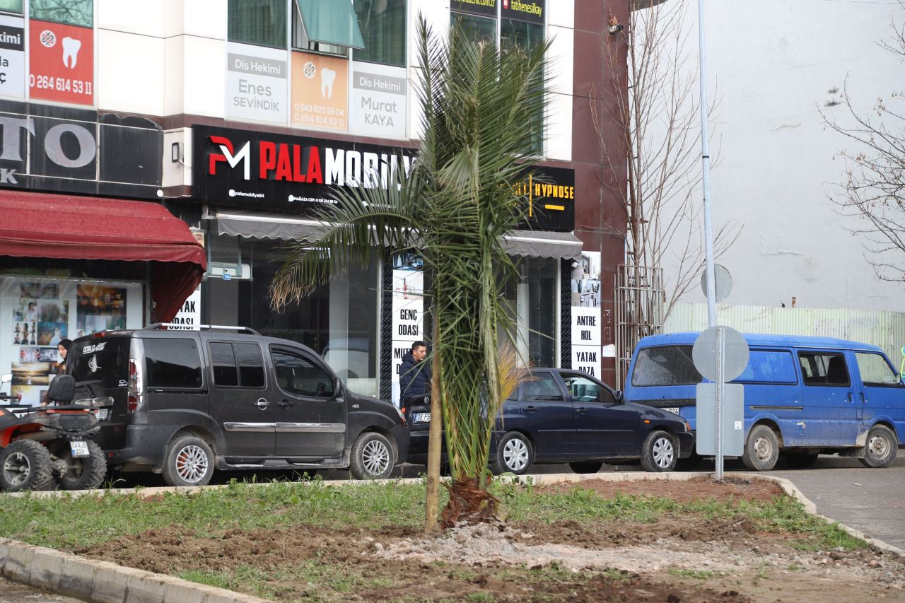 Hendek’te Doğal Güzellik Artıyor! Ağaçlandırma ve Yeşillendirme Çalışmaları Hızla Devam Ediyor! - Sayfa 4