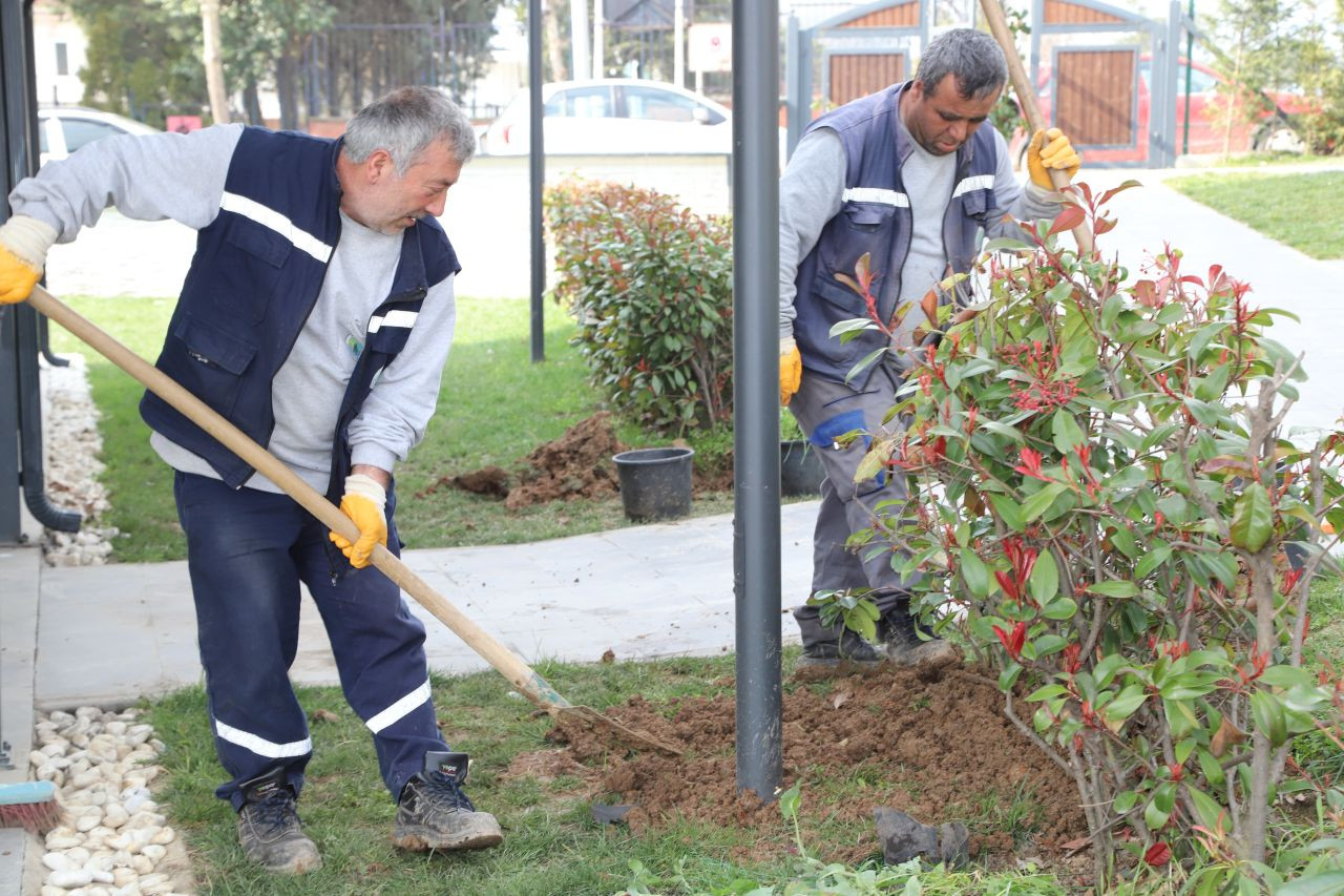 Hendek’te Doğal Güzellik Artıyor! Ağaçlandırma ve Yeşillendirme Çalışmaları Hızla Devam Ediyor! - Sayfa 3