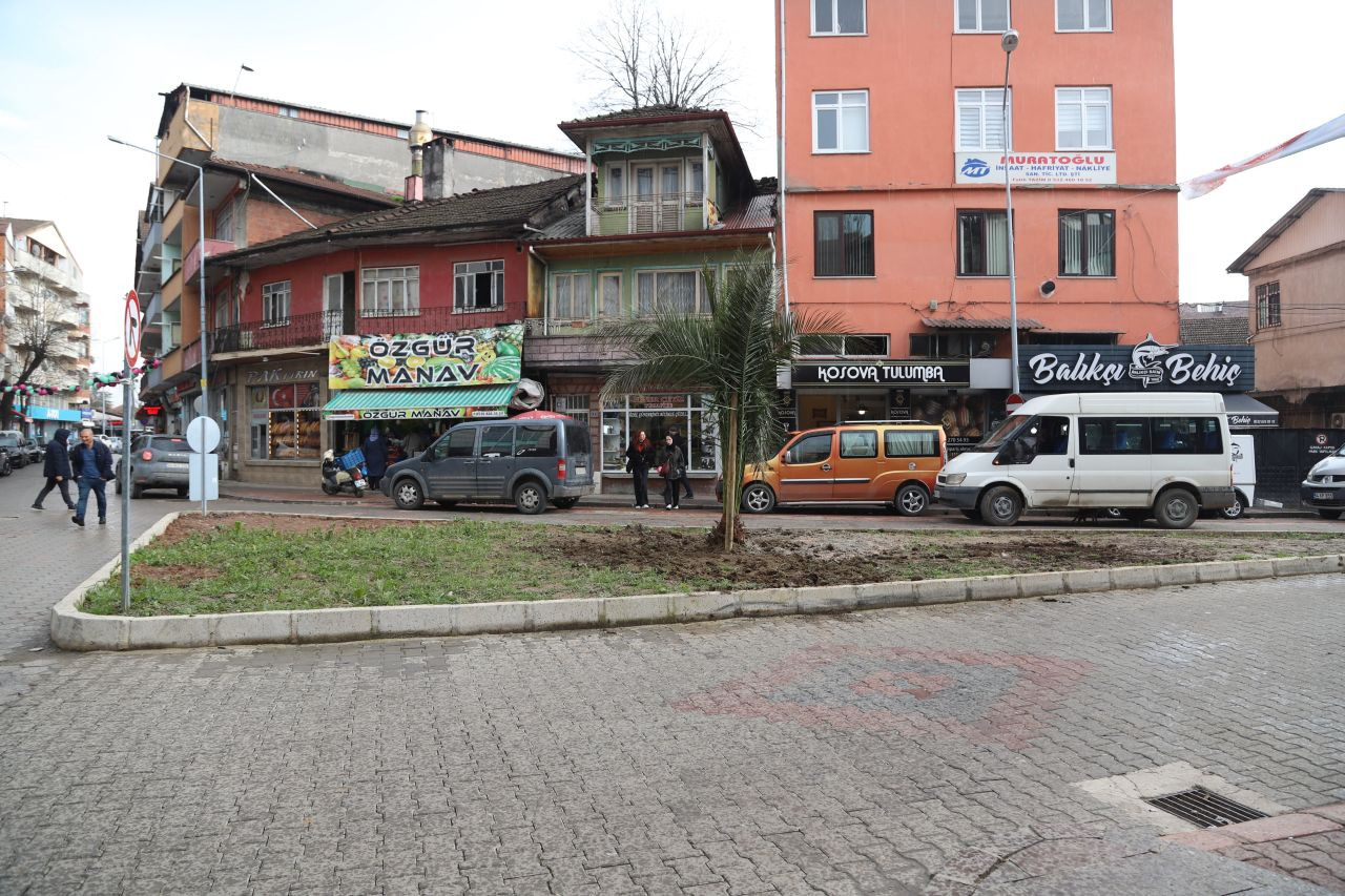 Hendek’te Doğal Güzellik Artıyor! Ağaçlandırma ve Yeşillendirme Çalışmaları Hızla Devam Ediyor! - Sayfa 6