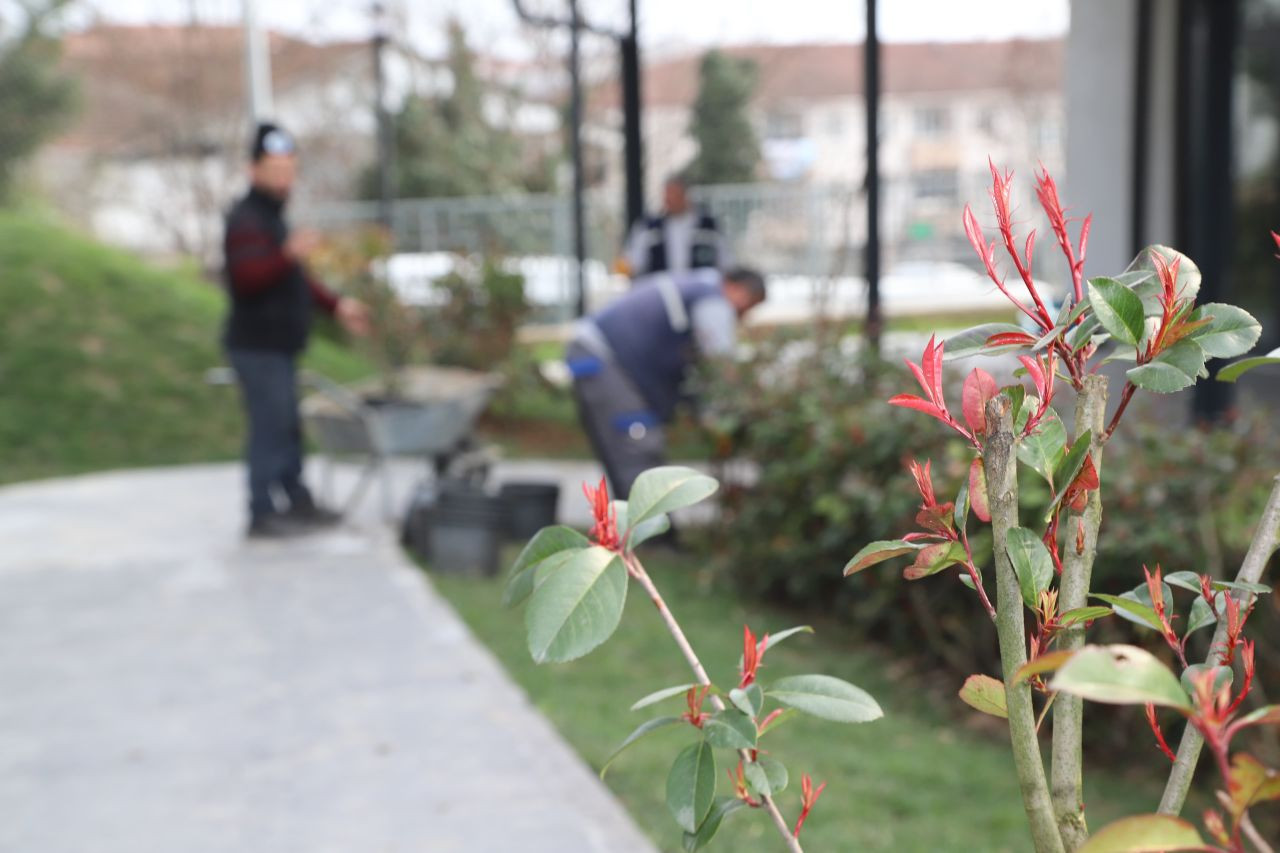 Hendek’te Doğal Güzellik Artıyor! Ağaçlandırma ve Yeşillendirme Çalışmaları Hızla Devam Ediyor! - Sayfa 7