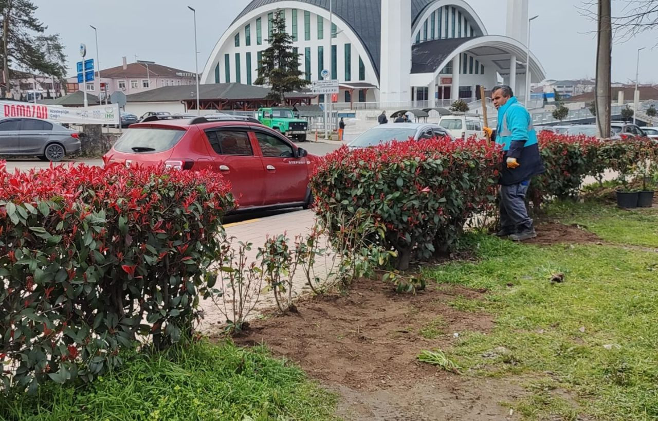 Hendek’te Doğal Güzellik Artıyor! Ağaçlandırma ve Yeşillendirme Çalışmaları Hızla Devam Ediyor! - Sayfa 5