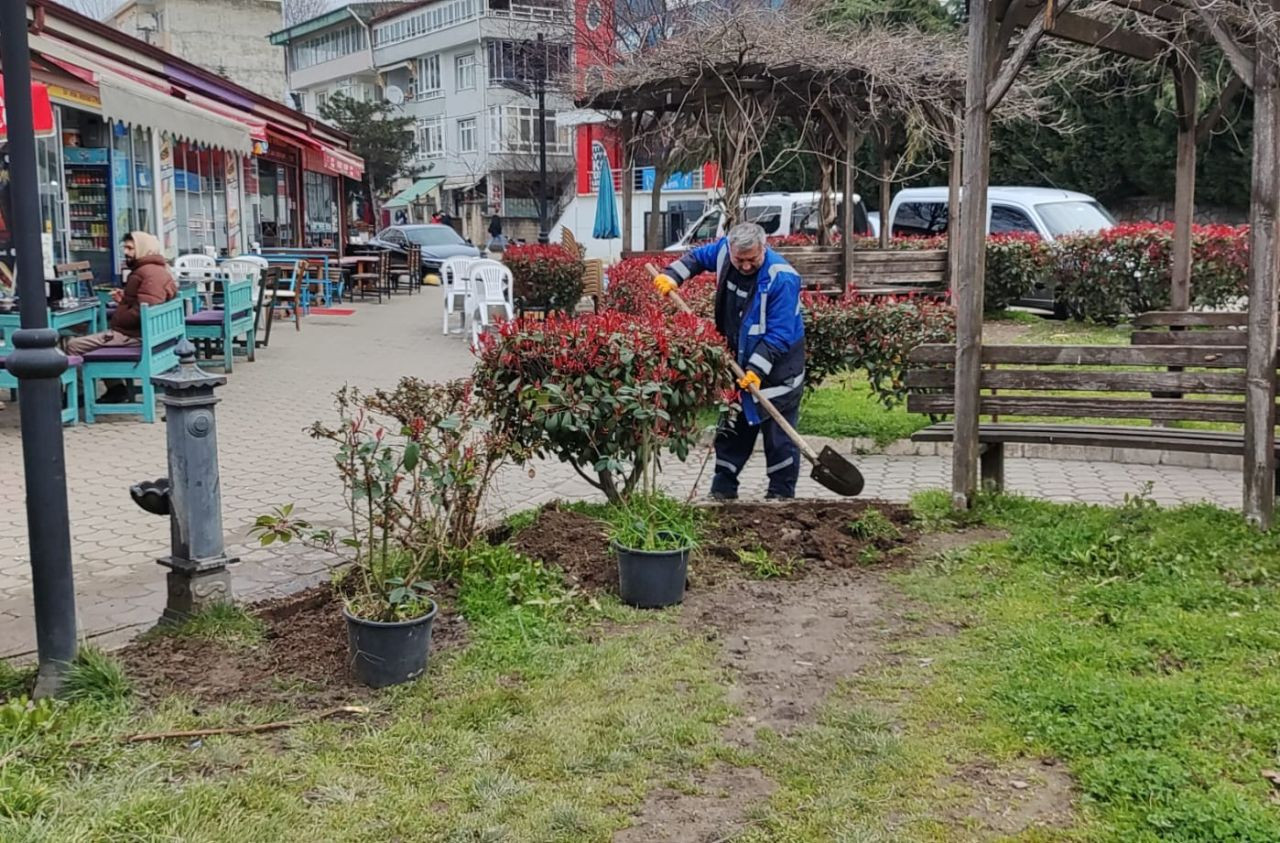 Hendek’te Doğal Güzellik Artıyor! Ağaçlandırma ve Yeşillendirme Çalışmaları Hızla Devam Ediyor! - Sayfa 2