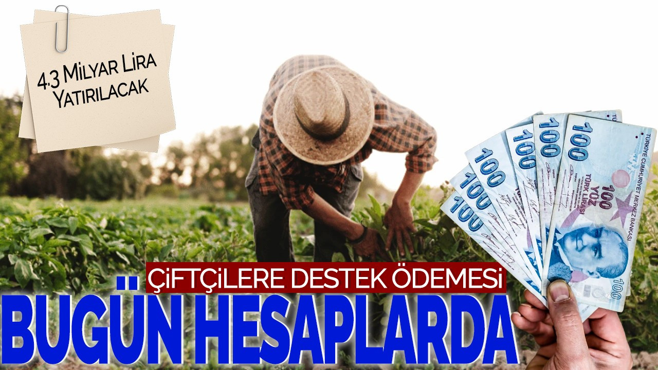 Çiftçilere Destek Ödemesi Bugün Hesaplara: 4.3 Milyar Lira Yatırılacak