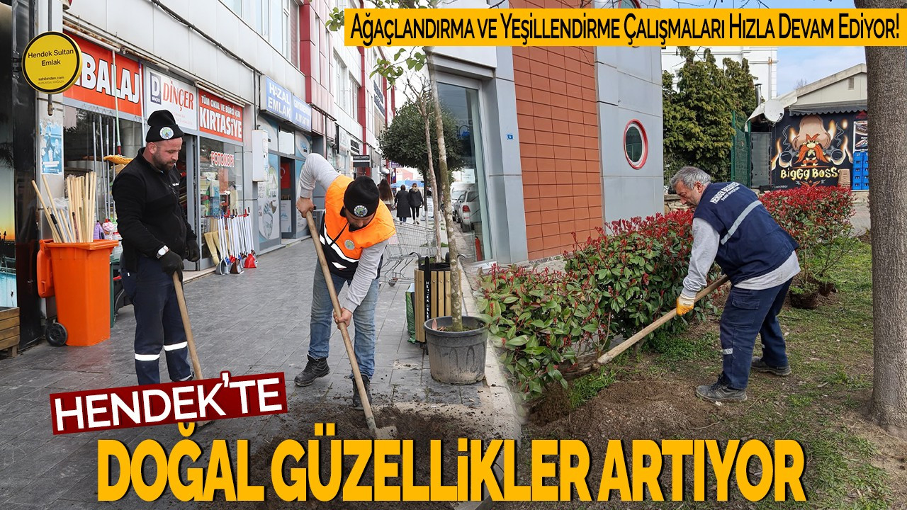 Hendek’te Doğal Güzellik Artıyor! Ağaçlandırma ve Yeşillendirme Çalışmaları Hızla Devam Ediyor!