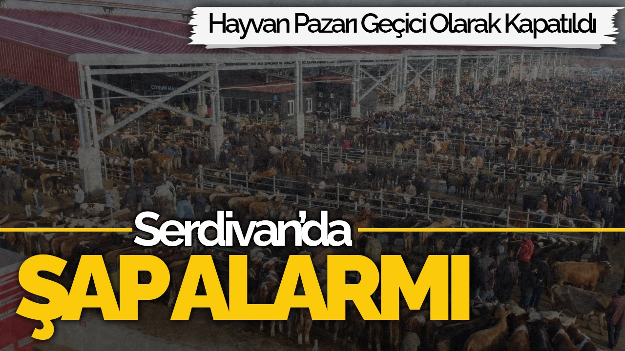 Serdivan’da Şap Alarmı! Hayvan Pazarı Geçici Olarak Kapatıldı