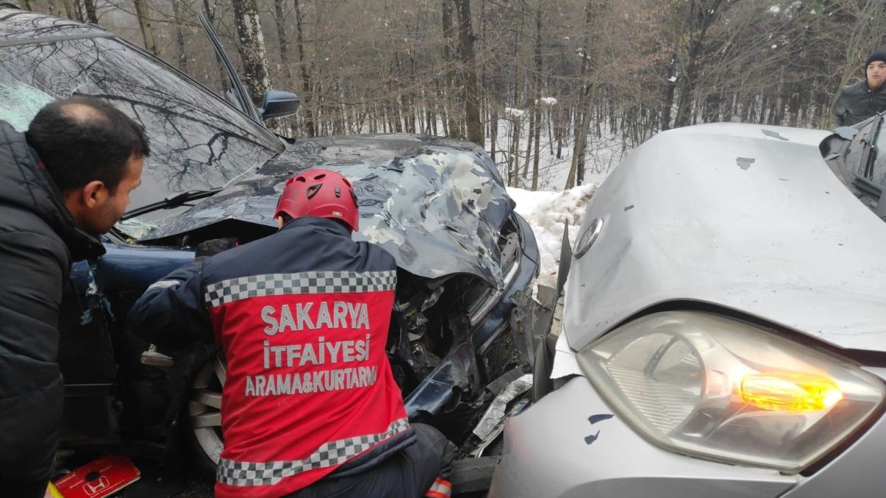 Sakarya İtfaiyesi Hayat Kurtarmaya Devam Ediyor - Sayfa 1
