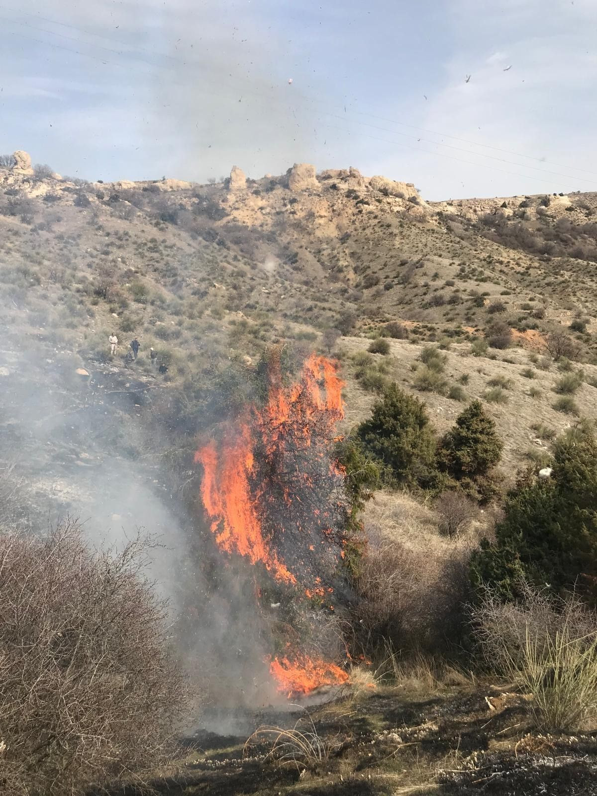 Mardin’de Ot Yangını Korkuttu: Ekipler Müdahale Etti - Sayfa 2