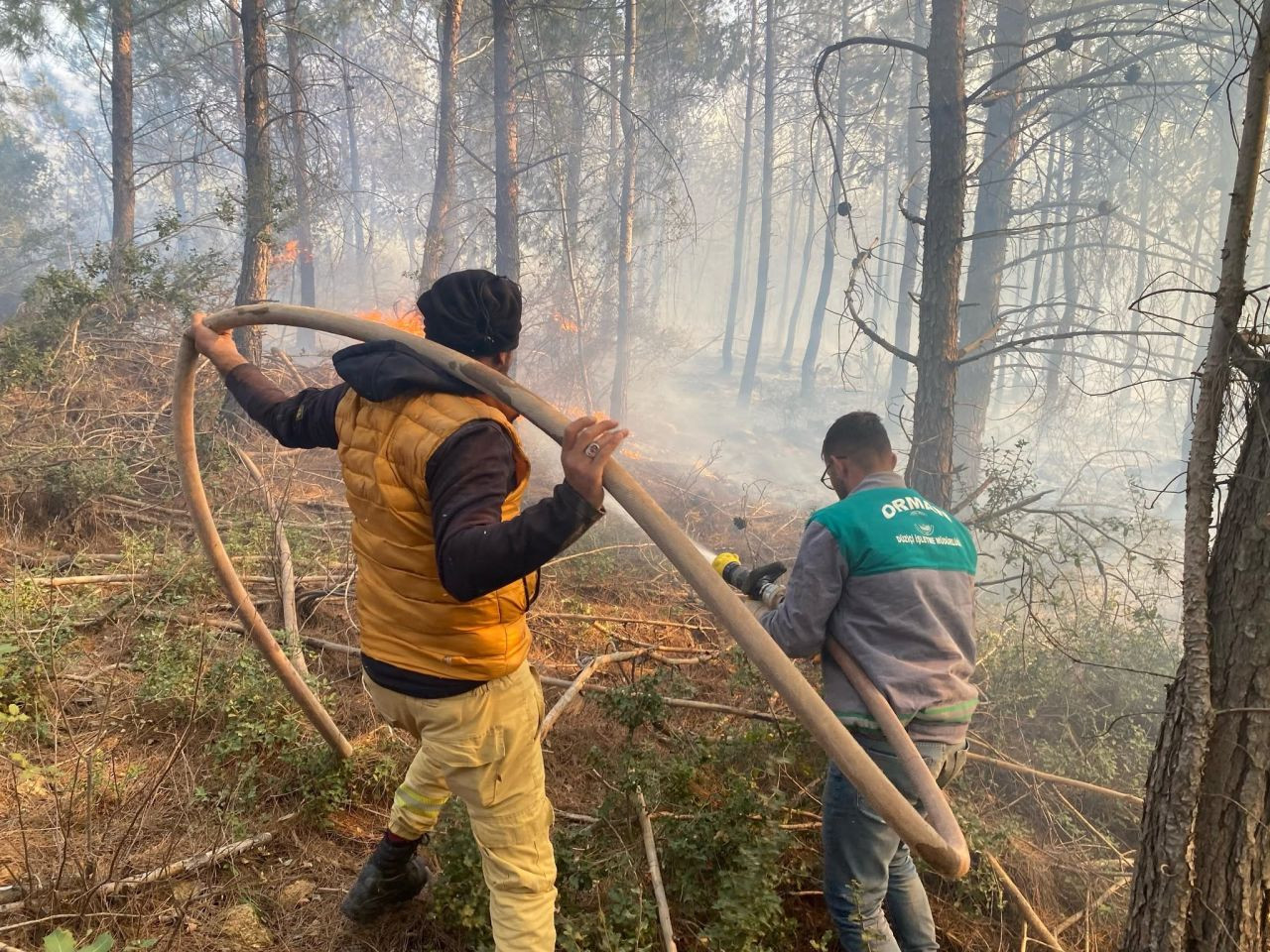 Osmaniye’de Orman Yangını Korkuttu: Alevler Söndürüldü - Sayfa 3