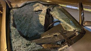 Otomobil Başıboş Ata Çarptı: Sürücü Yaralandı, At Telef Oldu - Sayfa 5