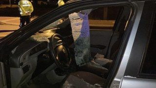 Otomobil Başıboş Ata Çarptı: Sürücü Yaralandı, At Telef Oldu - Sayfa 6