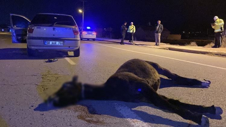 Otomobil Başıboş Ata Çarptı: Sürücü Yaralandı, At Telef Oldu - Sayfa 3