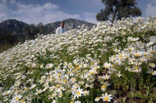 Baharın Müjdecisi Üçüncü Cemre Toprağa Düştü - Sayfa 4