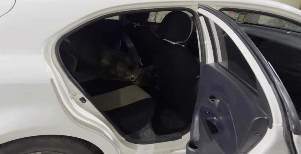 Batman’da Otomobile Gizlenmiş 1 Kilo Metamfetamin Ele Geçirildi - Sayfa 3