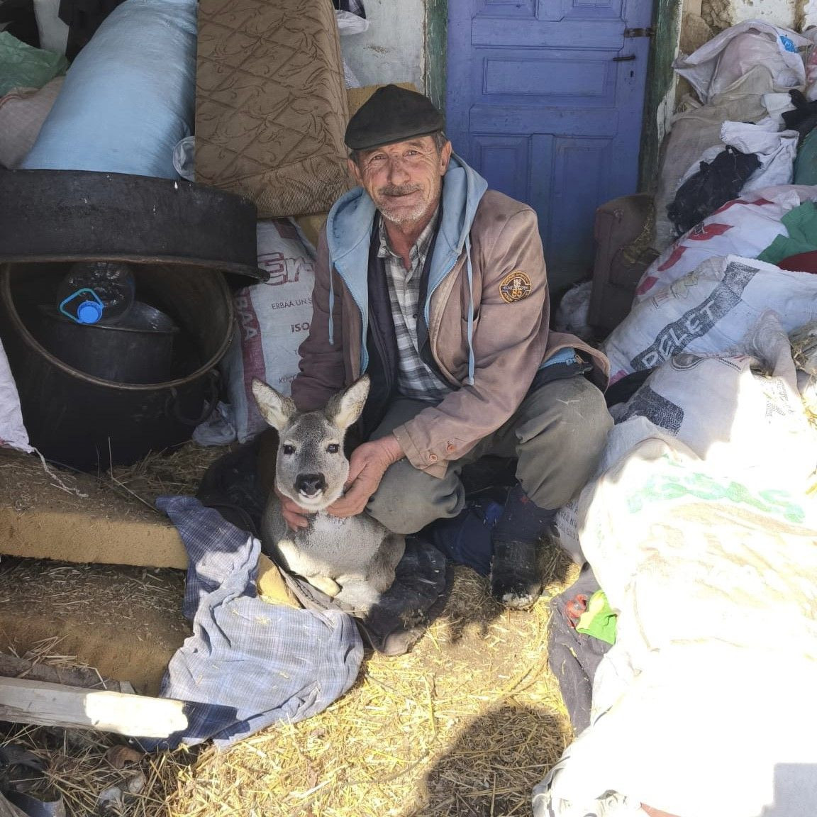 Dikenli Tele Takılan Karaca Yavrusu Kurtarıldı - Sayfa 3