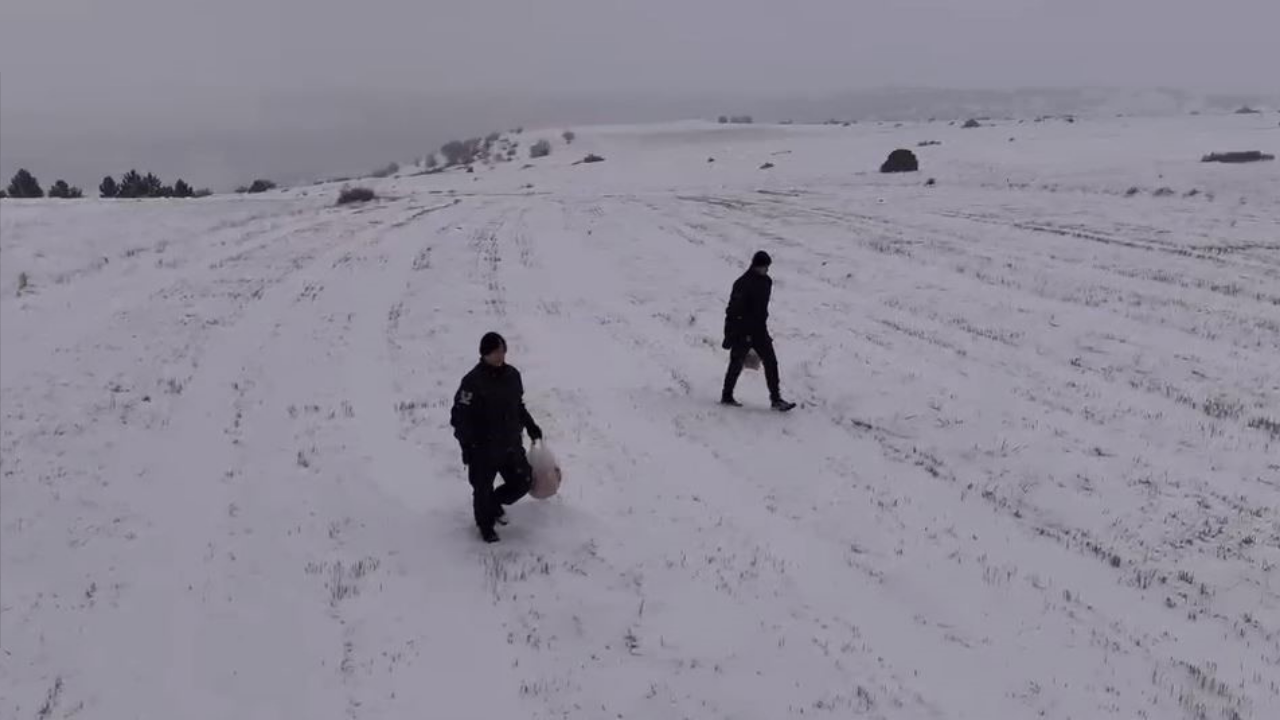 Sivas’ta Jandarmadan Yaban Hayatına Destek! Kış Şartlarında Besleme