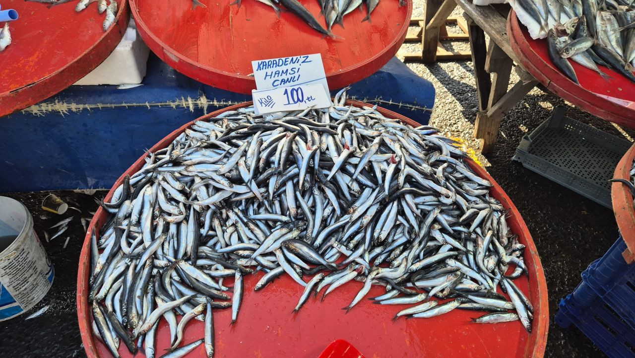 Tekirdağ’da Hamsi ve İstavrit 100 Liradan Satıldı, Yoğun İlgi Gördü - Sayfa 1