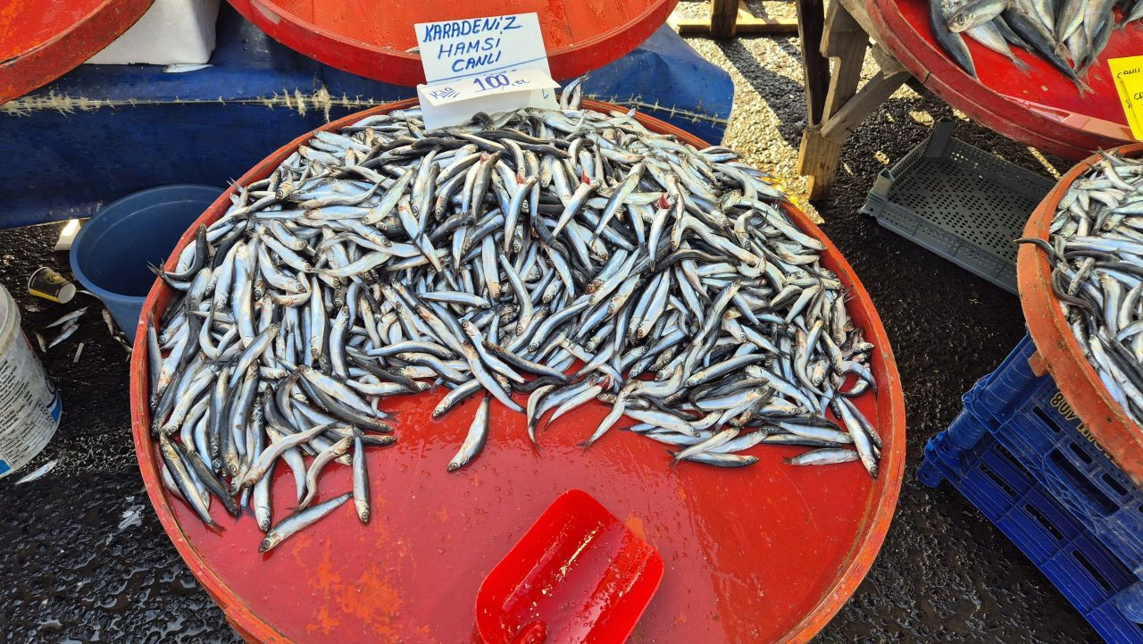 Tekirdağ’da Hamsi ve İstavrit 100 Liradan Satıldı, Yoğun İlgi Gördü - Sayfa 3