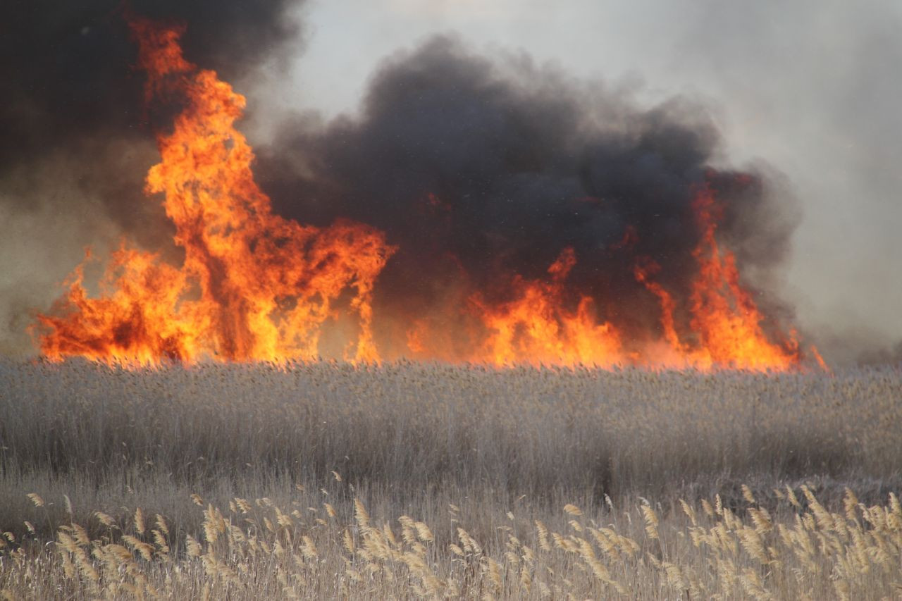 Beyşehir Gölü Milli Parkı’nda Korkutan Yangın! Müdahale Edilemiyor - Sayfa 1