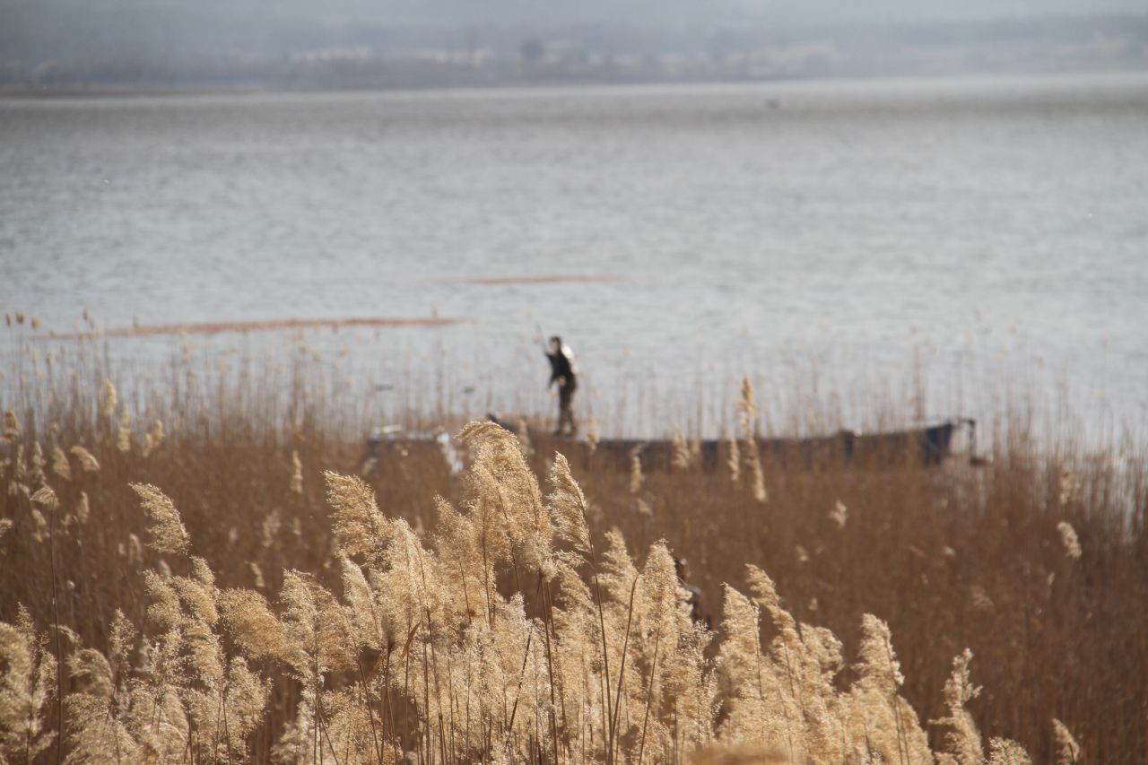 Beyşehir Gölü Milli Parkı’nda Korkutan Yangın! Müdahale Edilemiyor - Sayfa 5