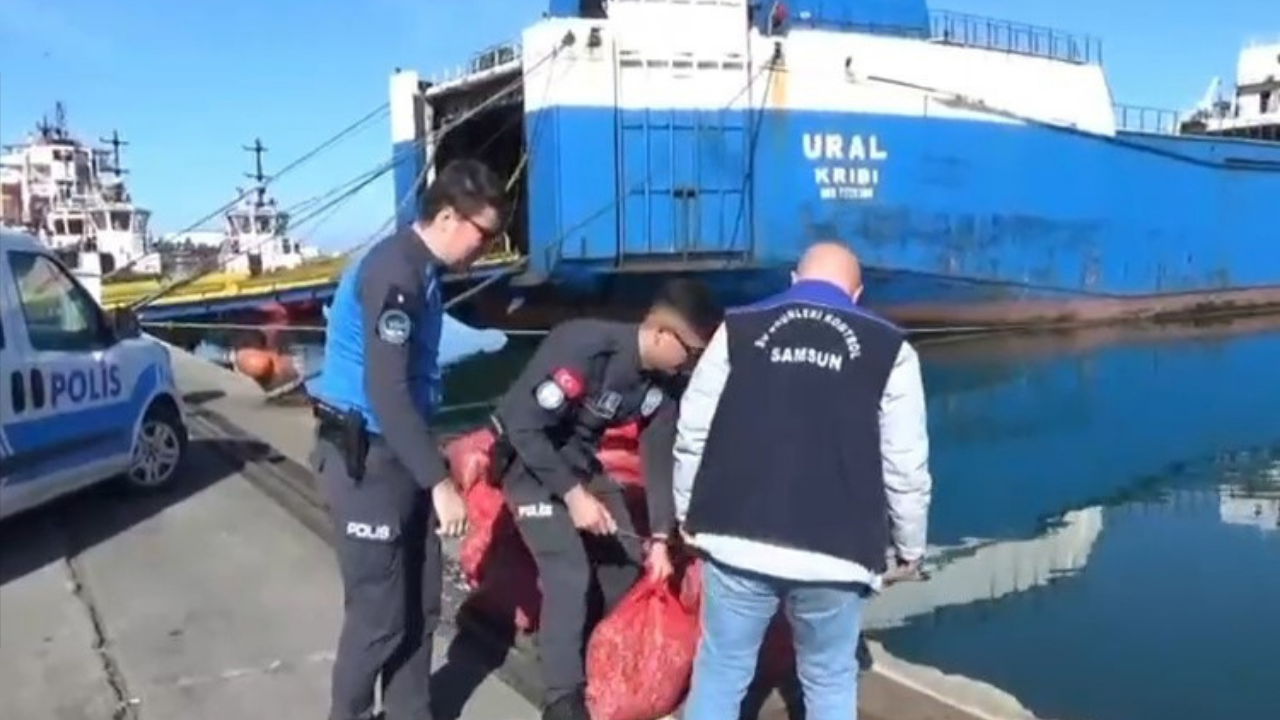 Samsun’da 1 Tonu Aşan Kaçak Midye Ele Geçirildi!