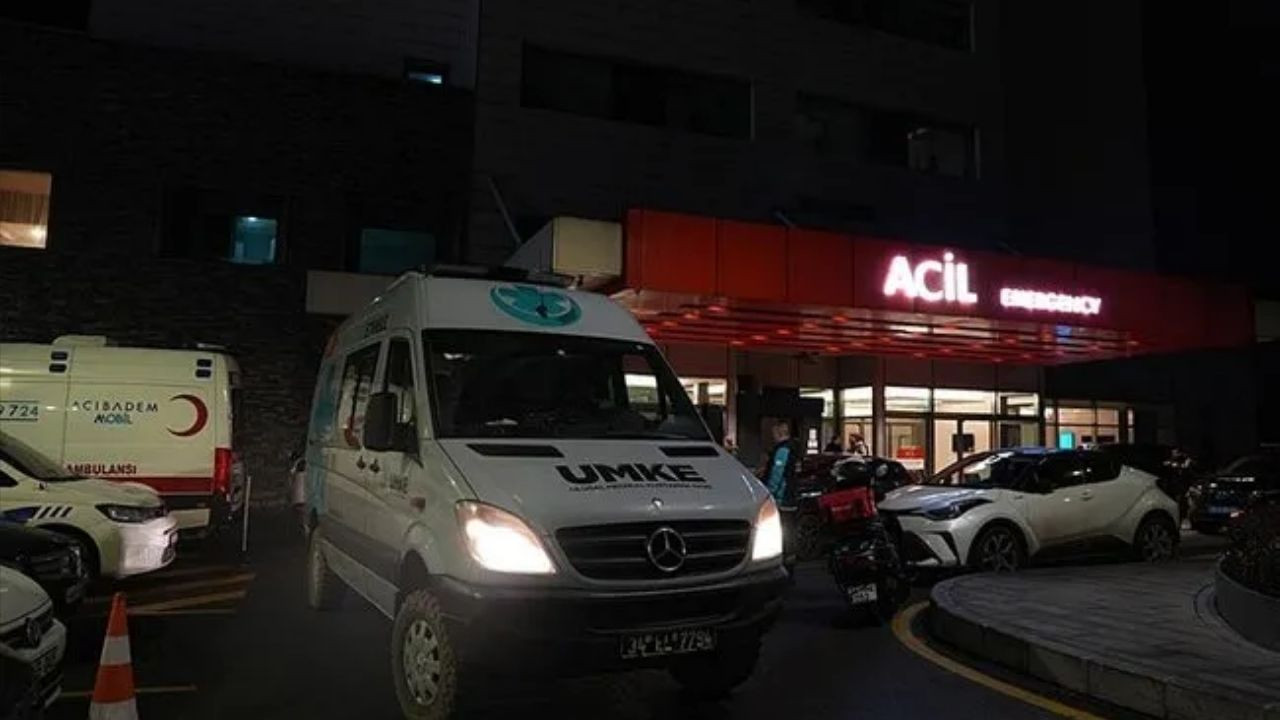 Belgrad Ormanı'nda Sağ Olarak Bulunan Ece Gürel Hastanede Hayatını Kaybetti! - Sayfa 3