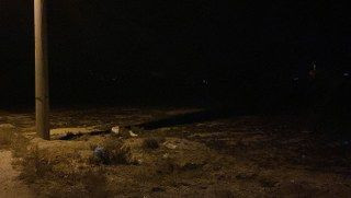 2 yaşındaki Çocuk Köpeklerin Saldırısı Sonucu Hayatını Kaybetti - Sayfa 6