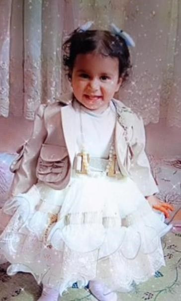 2 yaşındaki Çocuk Köpeklerin Saldırısı Sonucu Hayatını Kaybetti - Sayfa 4