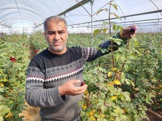 Zirai Don Gülü De Vurdu - Sayfa 7